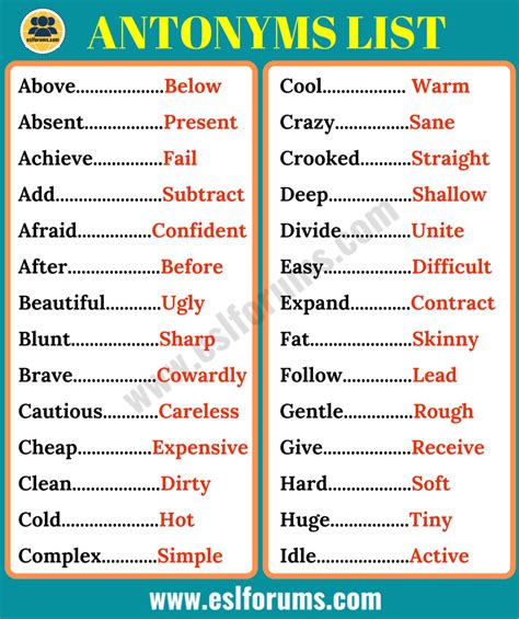 antonyms words dictionary